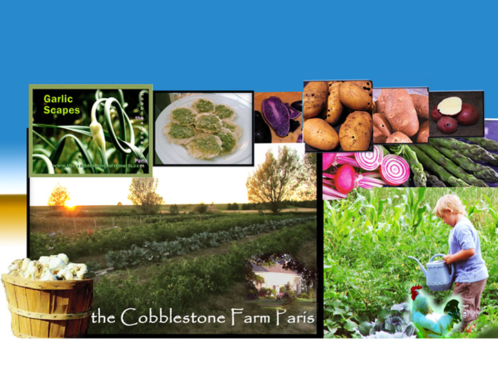 Farmer Cobblestone Farm logo