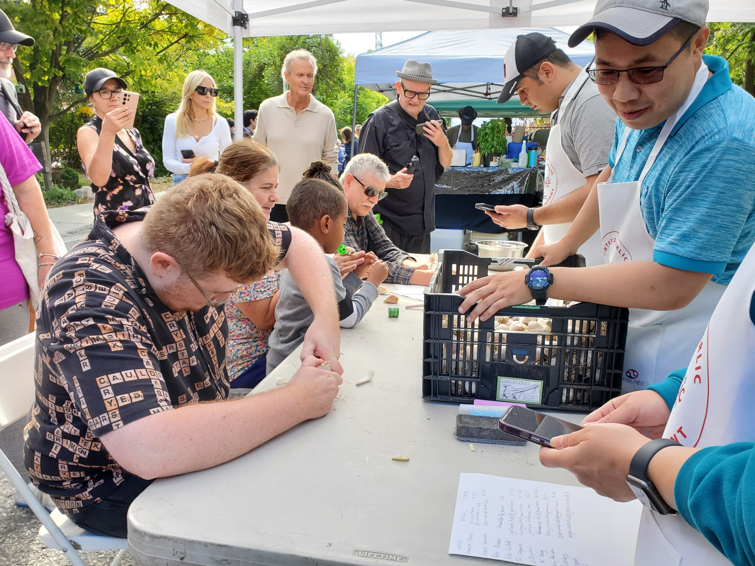 Garlic Bulb Cracking Contest