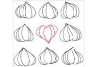 The Gifts of Garlic at Toronto Garlic Festival