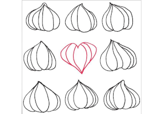 The Gifts of Garlic at Toronto Garlic Festival