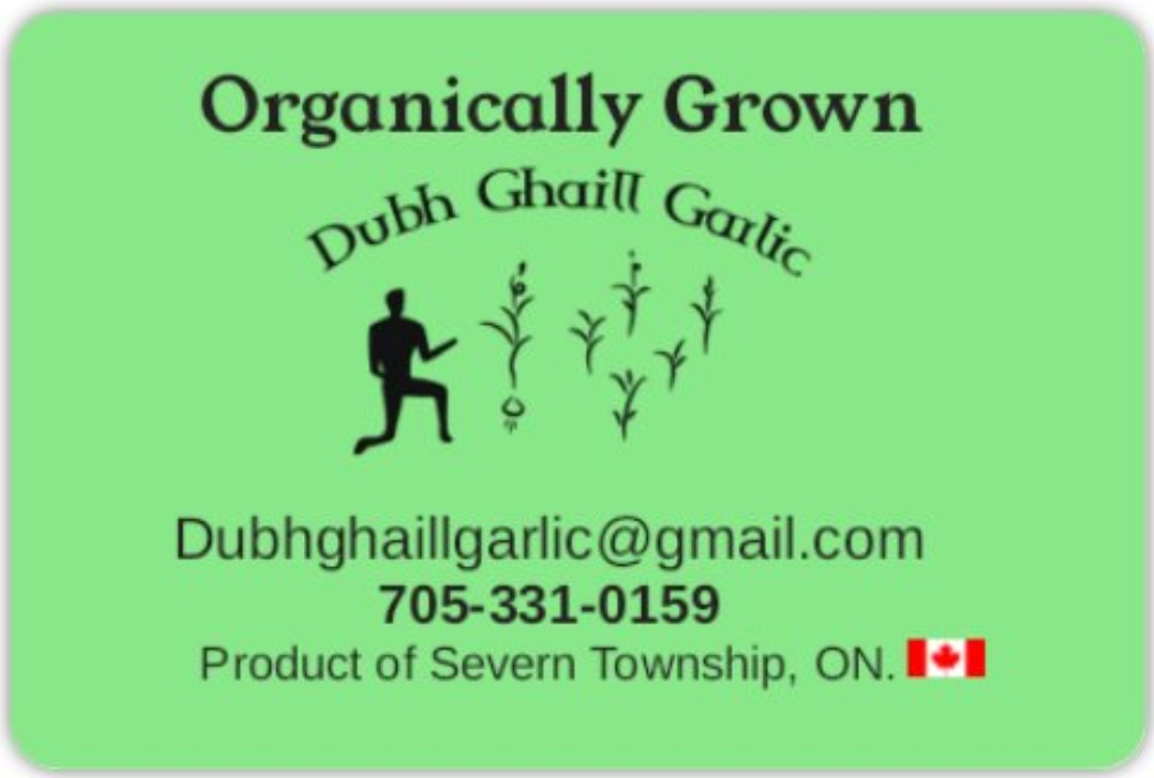 Dubh Ghaill Garlic